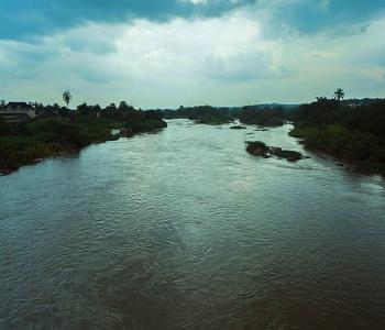 Image here